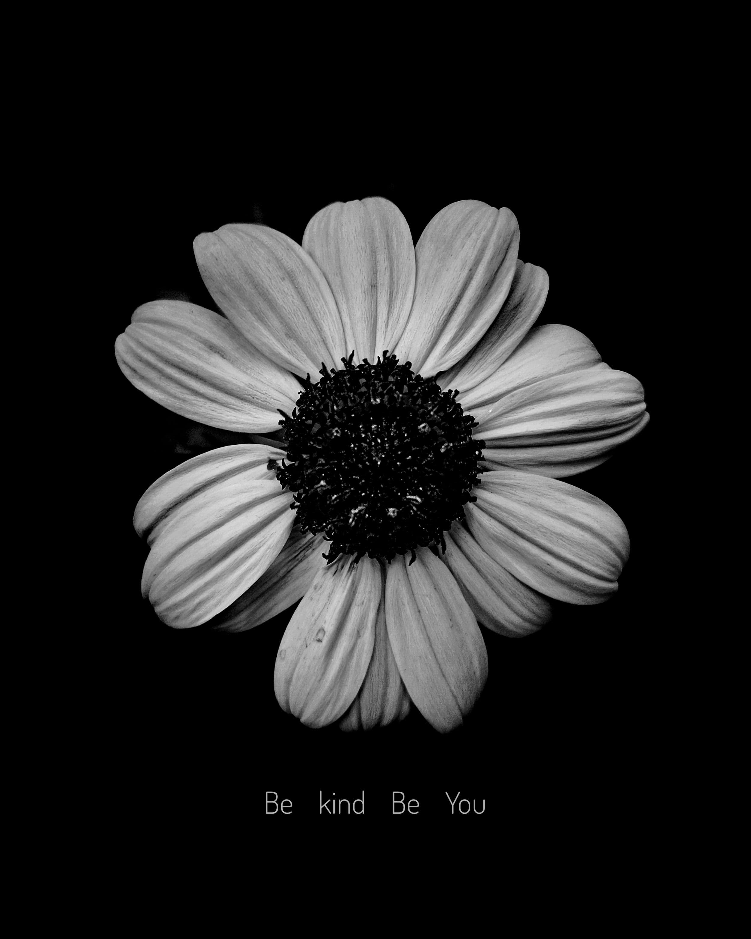 Why we haven't failed: because we haven't started Image